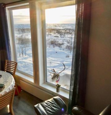 Suovka reindeer & bird lodge