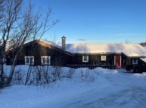Large, cozy, and spacious cabin in Geilo, Kikut in Geilo