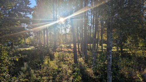 Schwedisches Waldcottage Fluss & Wanderwege