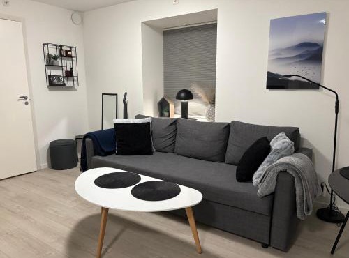 Modern Apt - Steps from Grieghallen and Trainstation in Bergen