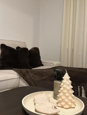 Beautiful apartment in malmo close to centrum