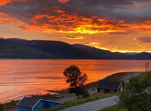 Skogstad Ferie og fritid