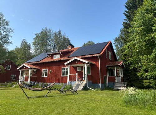 Mistel in Filipstad