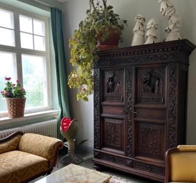 Singel room in big house