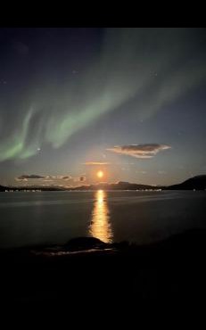 Cabin in scenic surroundings in Senja in Lenvik