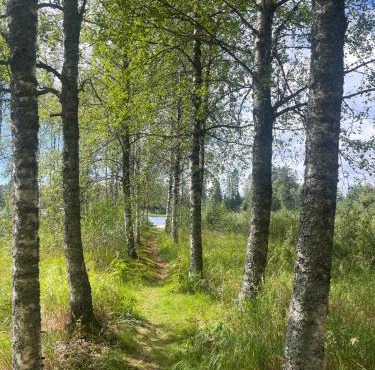 Stuga lilla Vilången
