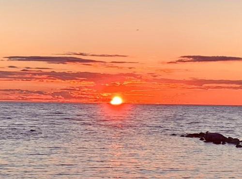 Strandnära Stuga Saga