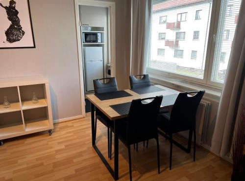 Kemiapartments CITY IV, near snowcastle, premium studio, FREE park with heat plug