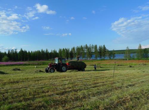 Heidin Mummola Farm