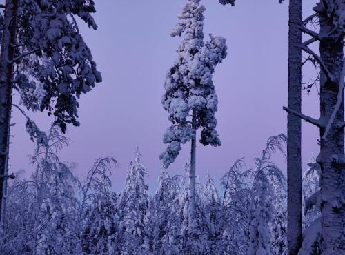 Maatilamatkailu Jänisvaara
