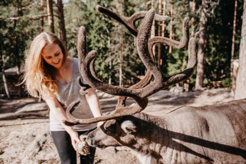 Igluhut – Sleep with reindeer in Espoo