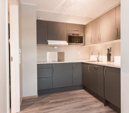 MAYA Apartments - Kasjotten, Skjetten