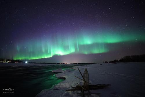 Kukkolankoski Resort - Vierastalot in Kukkola