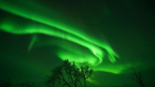 Arctic Aurora Borealis cottages
