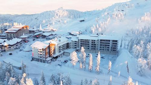 Ruka Ski Chalets 